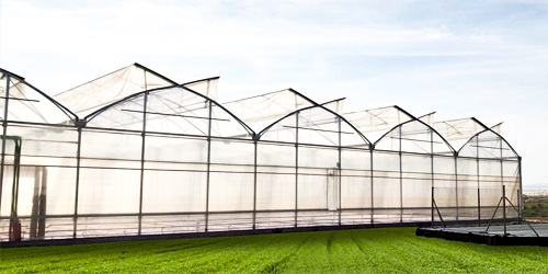 HDPE Tarpaulin
